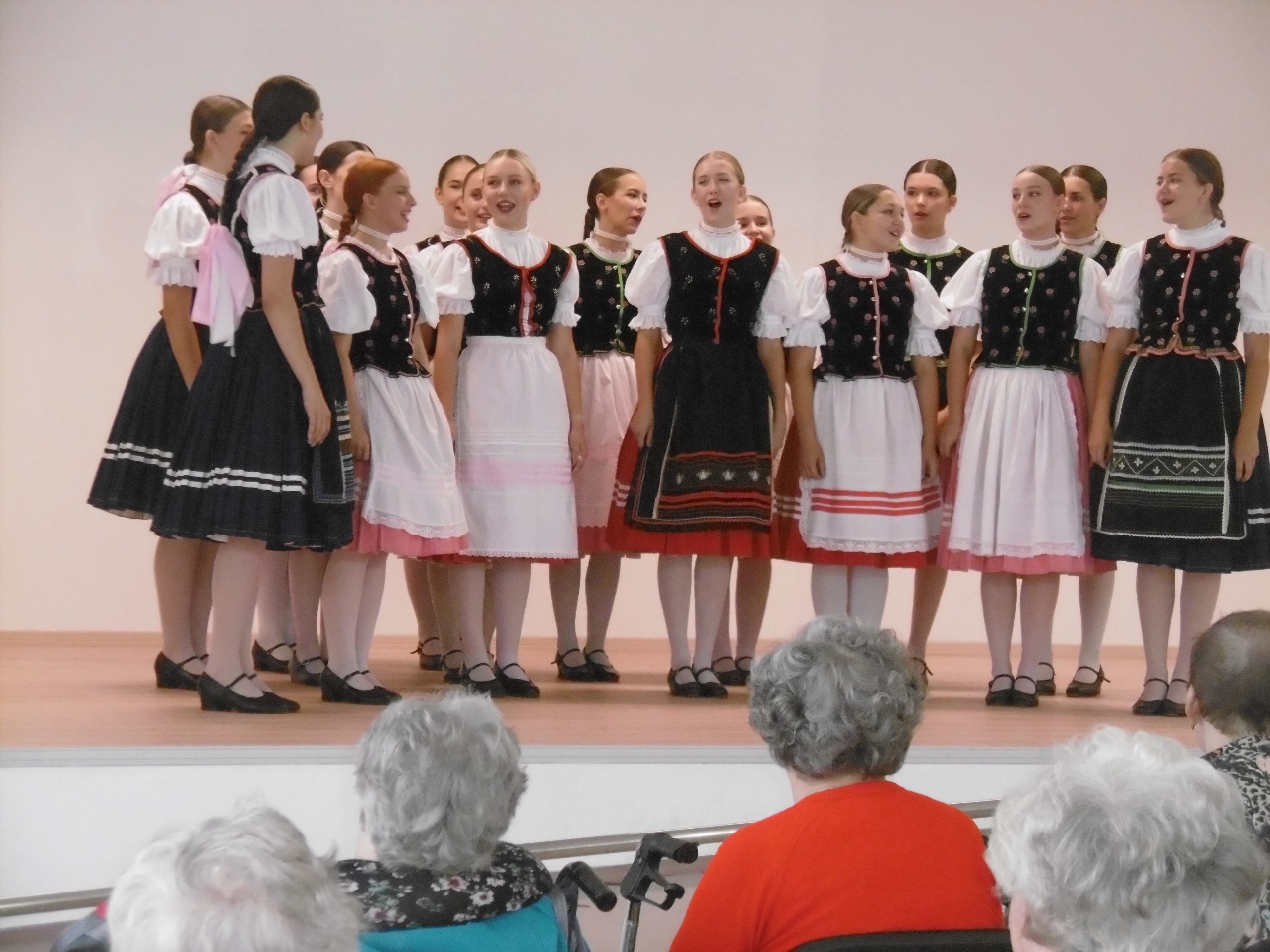 mezinárodní folklórní festival