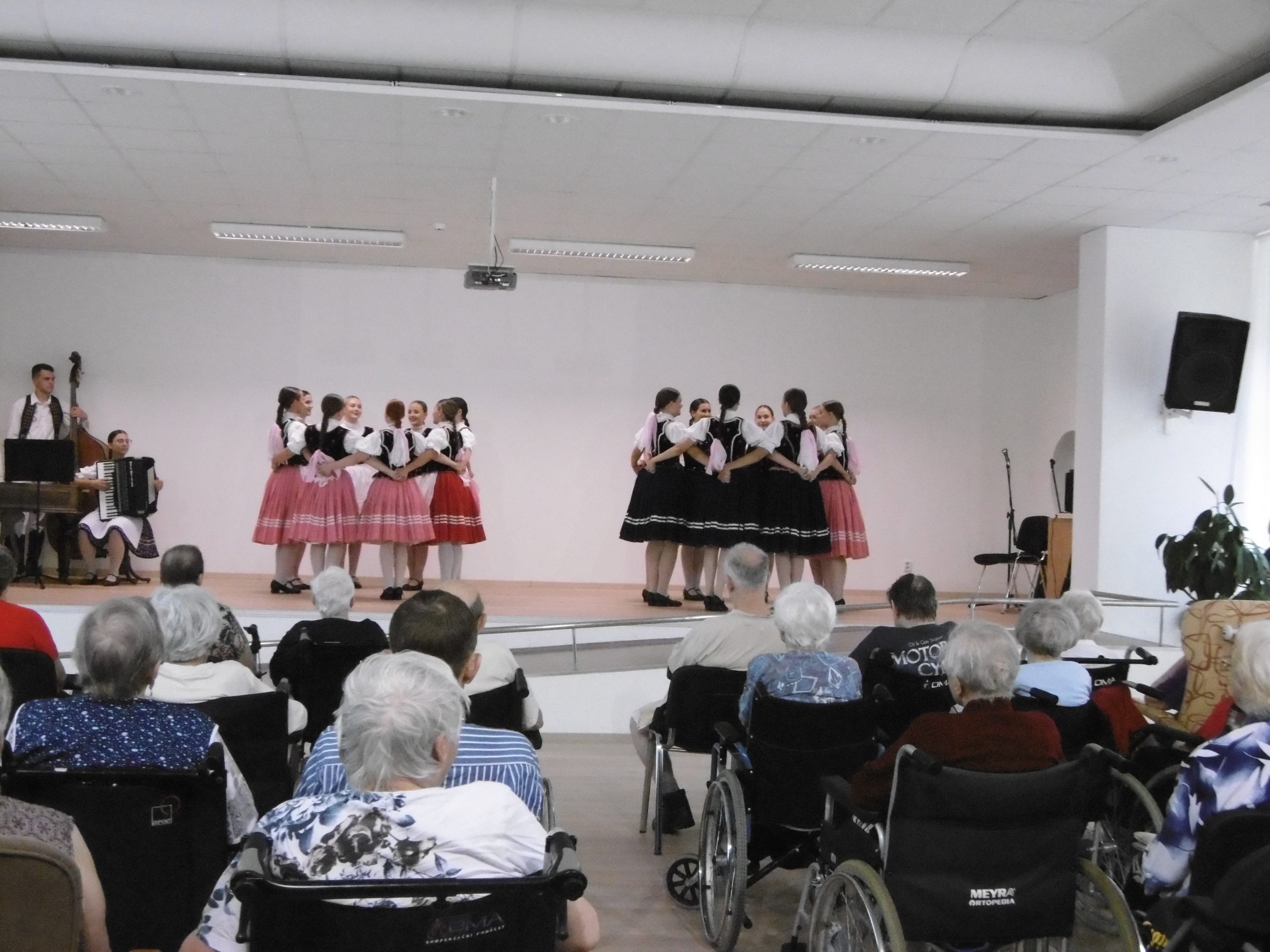 mezinárodní folklórní festival