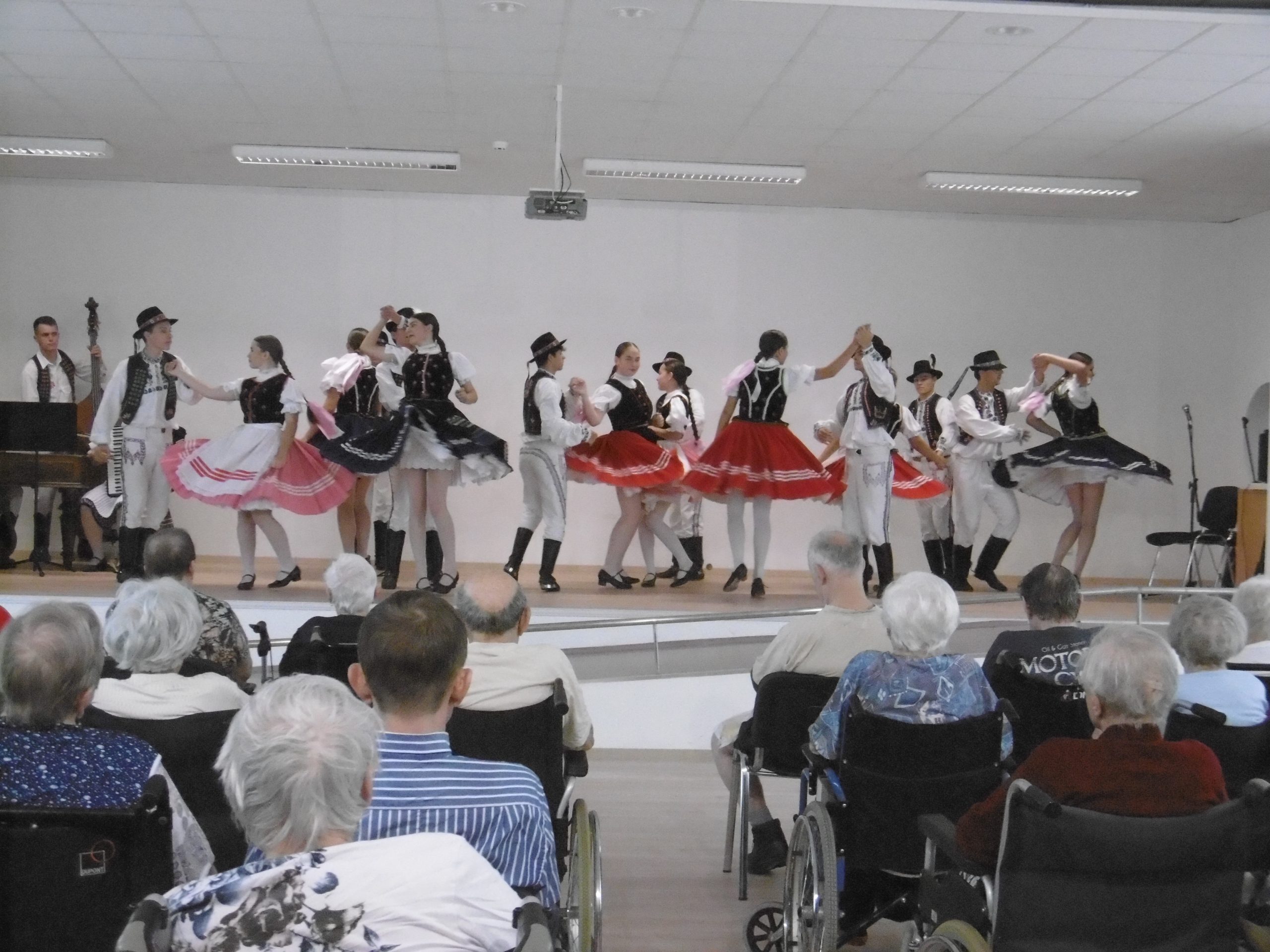 mezinárodní folklórní festival