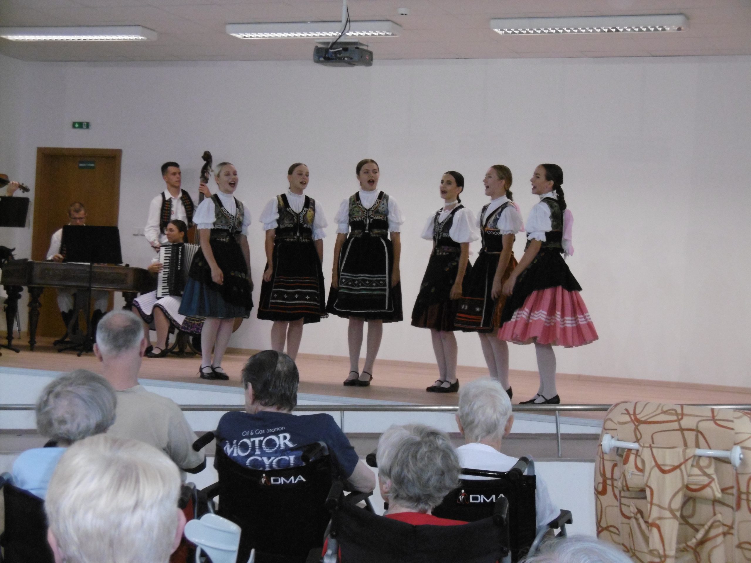 mezinárodní folklórní festival