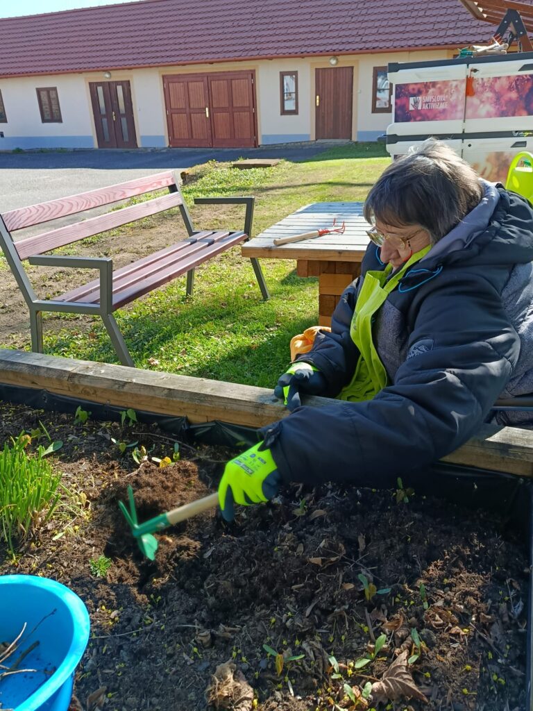 Klientka motyčkou kope ve vyvýšeném záhonku