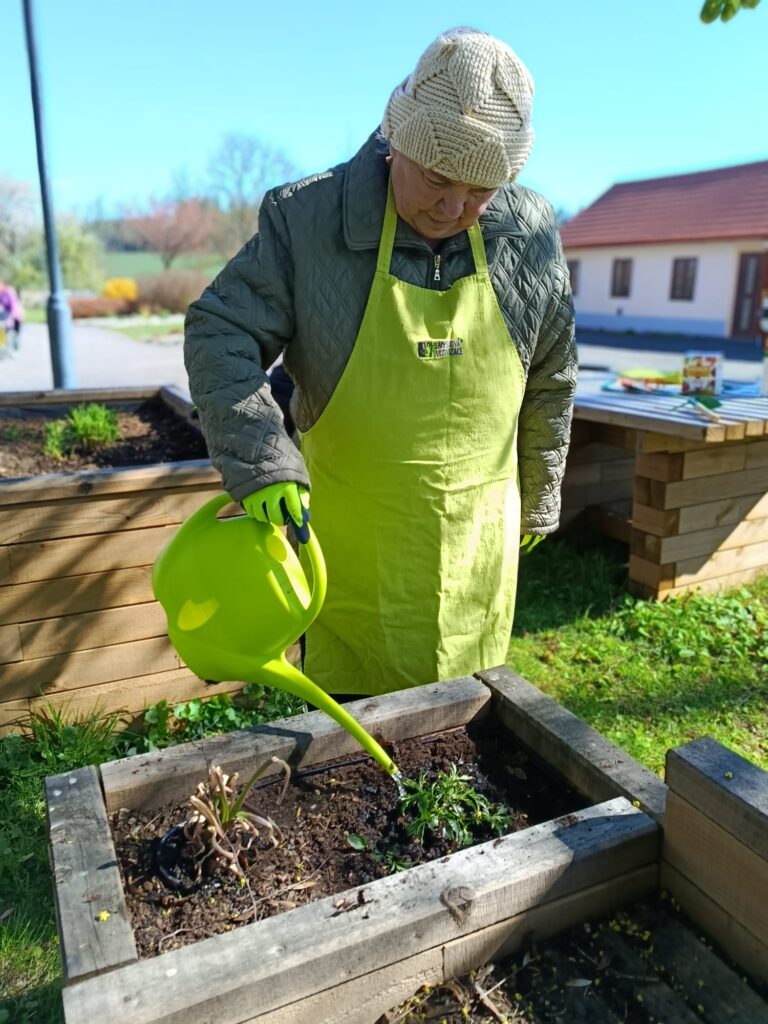 Klientka zalévá vyvýšený záhon