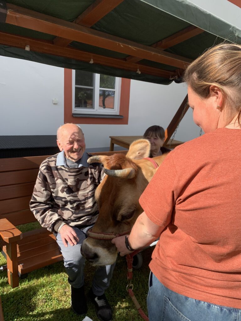 Klient si hladí krávu Amálku