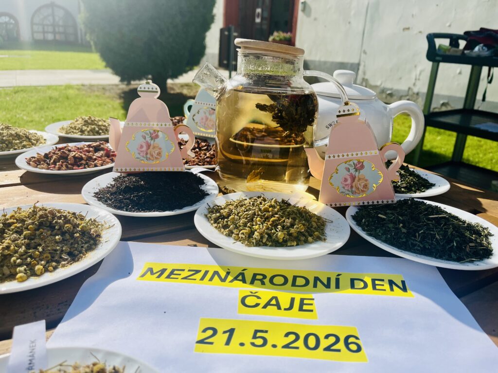 Připravený stůl s veškerými ingrediencemi pro tvoření čajových směsí