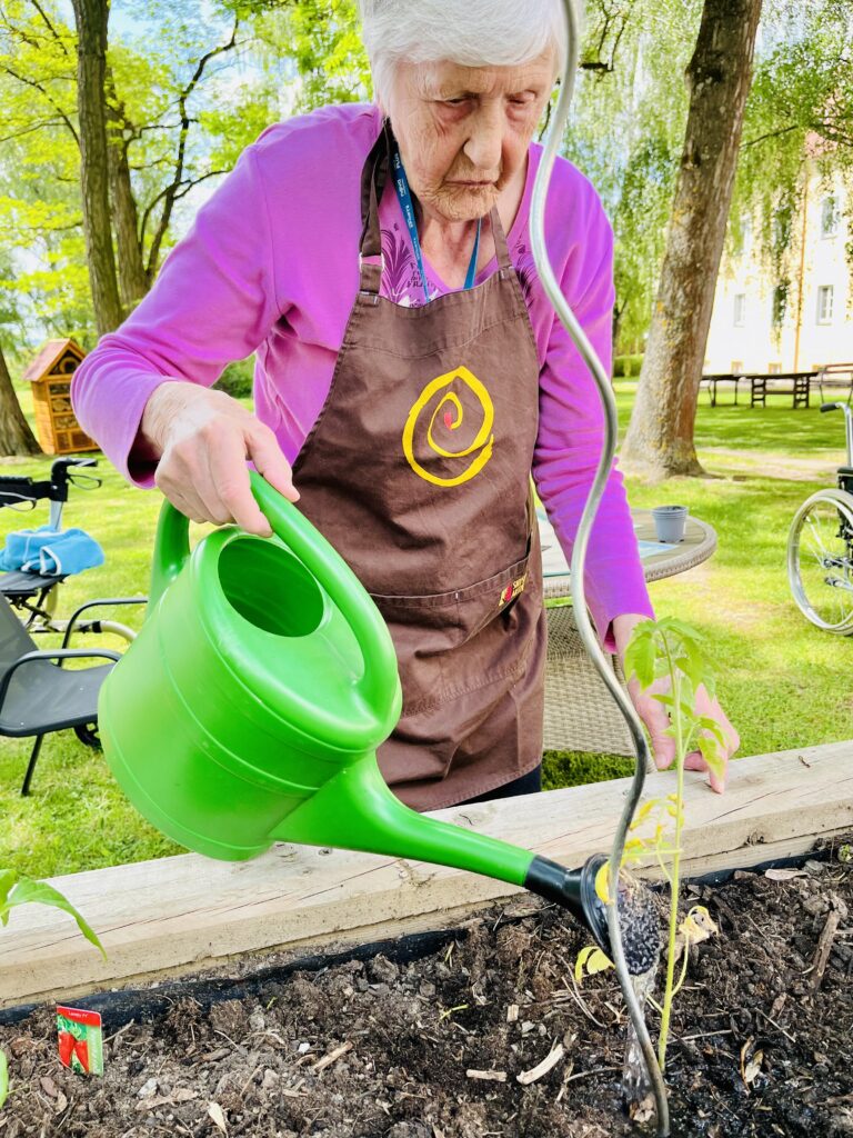 Klientka zalévá rajče