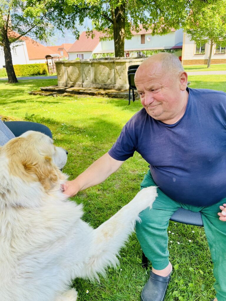Psí terapeut dává pac klientovi
