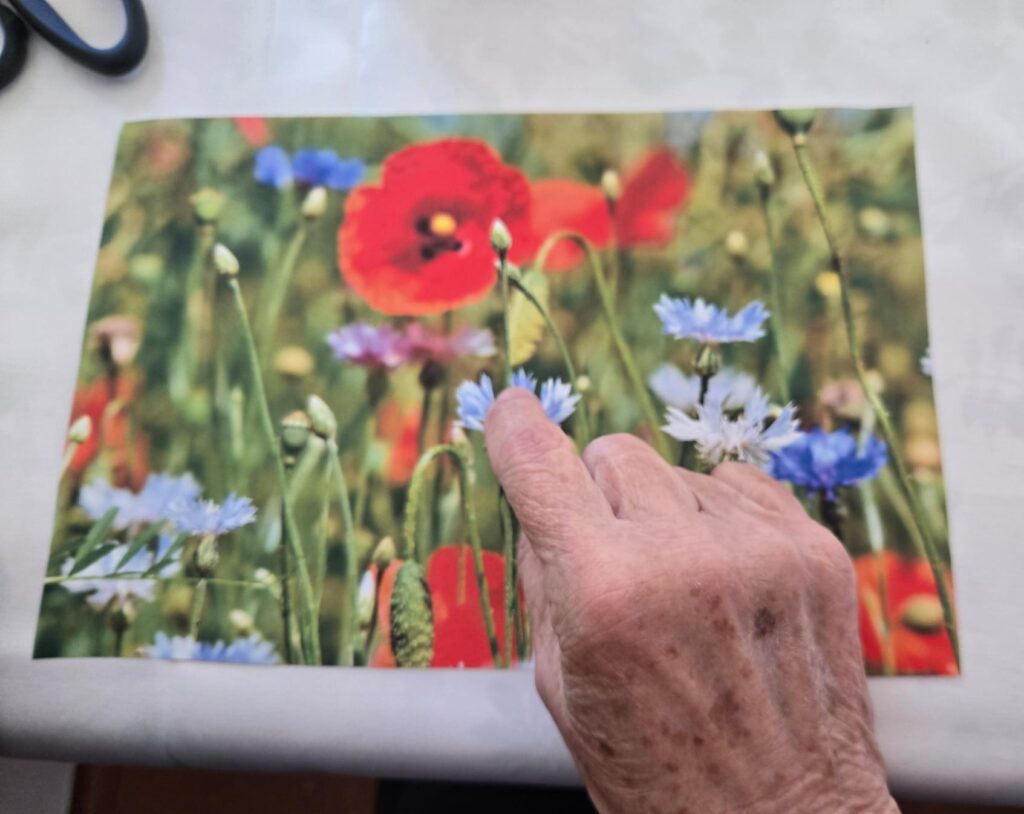 Klientka ukazuje na fotografii v záplavě květin na vlčí mák