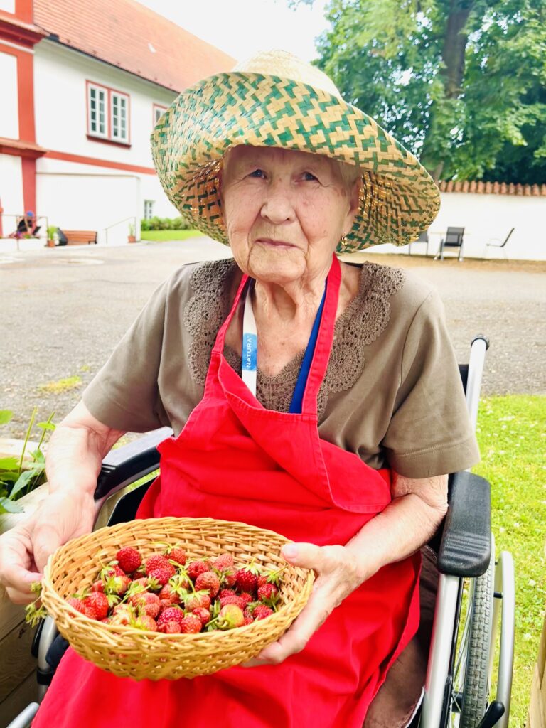 Klientka drží nasbírané jahody v ošatce