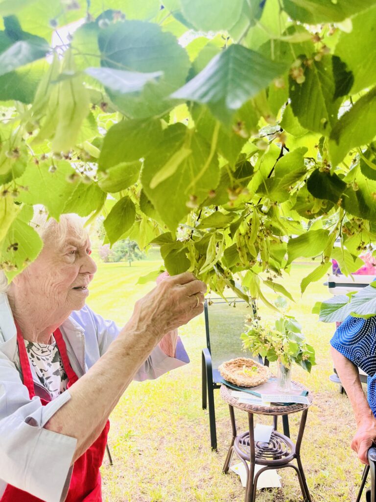 Klientka trhá lipový květ