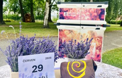 Připravené prostředí ke smyslovém aktivizaci na téma: Levandule