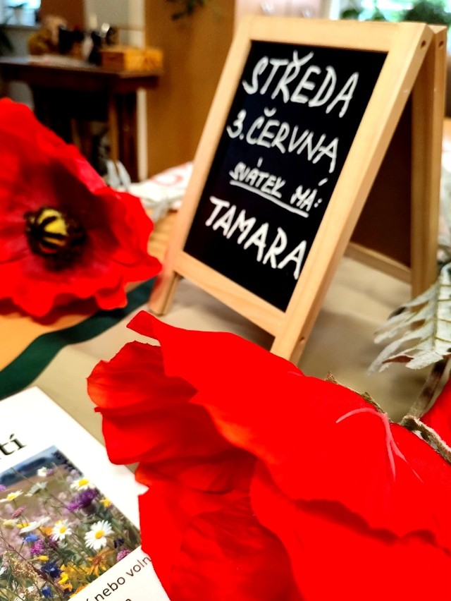 POMŮCKY NA SMYLSOVOU AKTIVIZACI