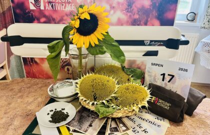Připravené prostředí pro smyslovou aktivizaci na téma: slunečnice a semínka na zimu