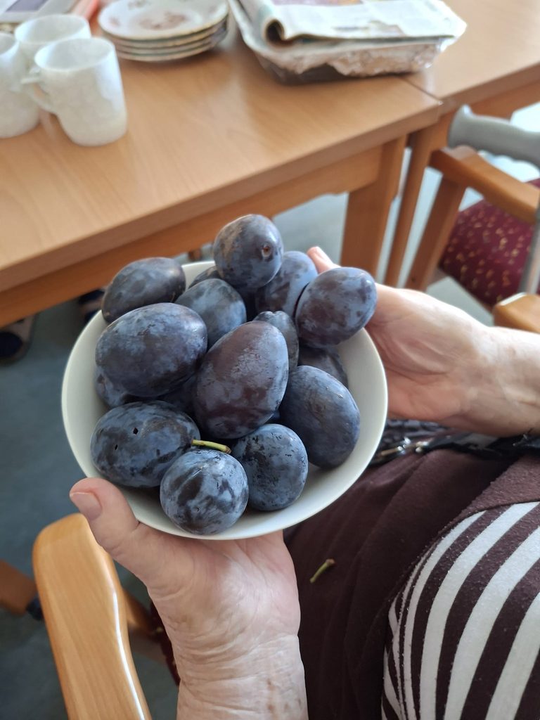 švestky