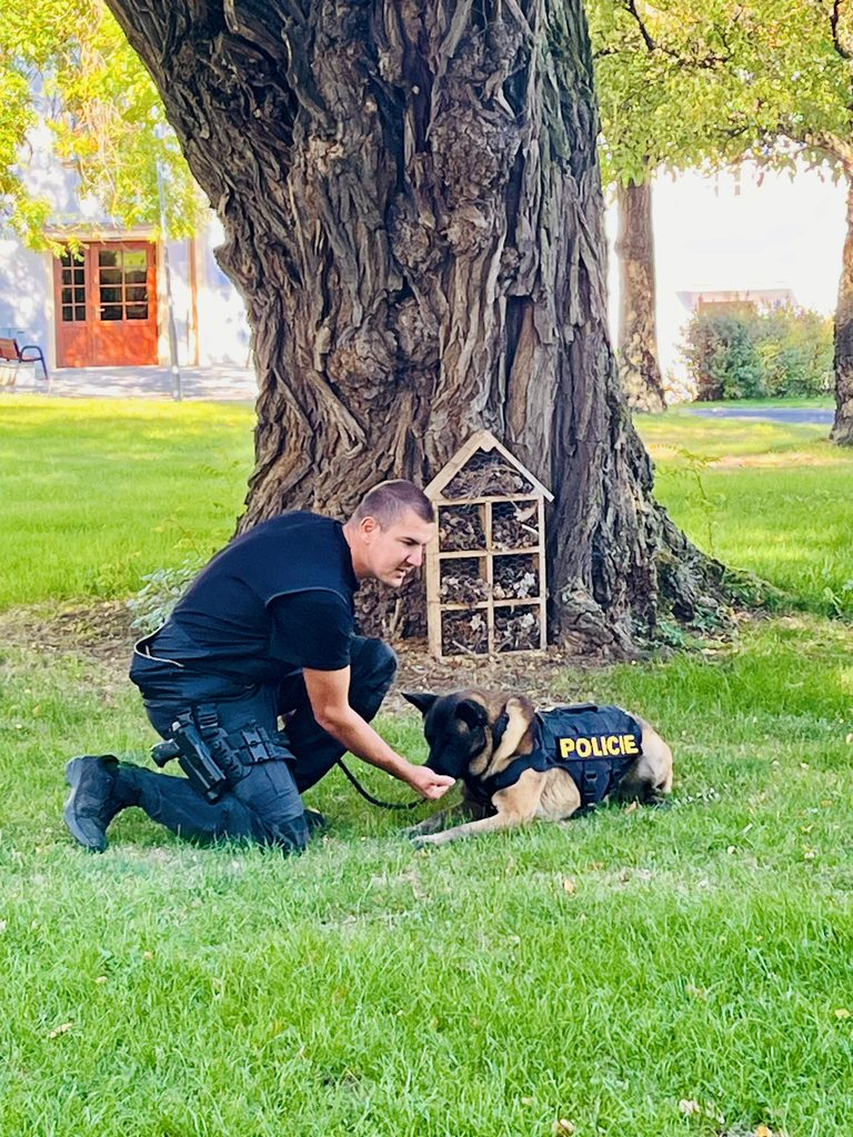 Ukázka výcviku policejního psa - leh