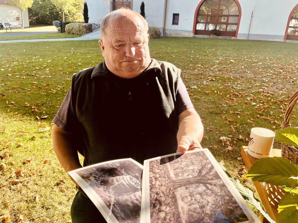 Klient si vybírá fotografii na téma sběr kaštanů k následné komunikaci