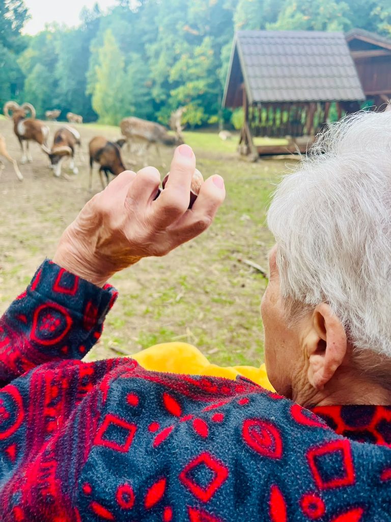 Klientka hází kaštany zvířatům v oboře