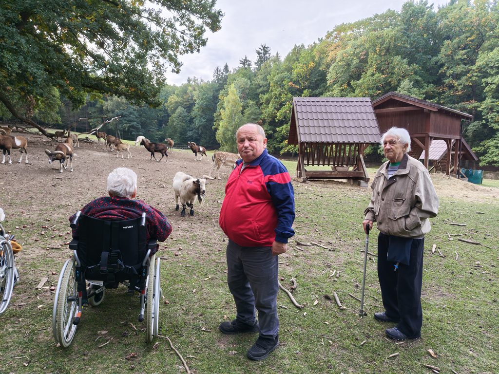 Klienti pozorují zvířata v oboře