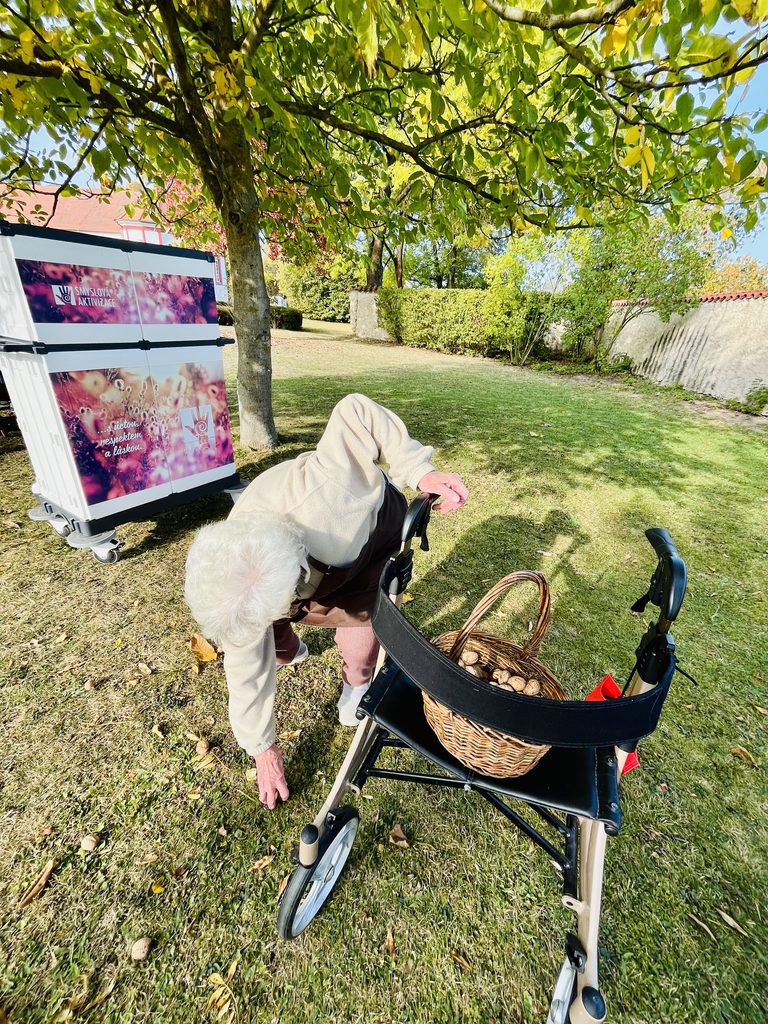 Klientka sbírá ořechy